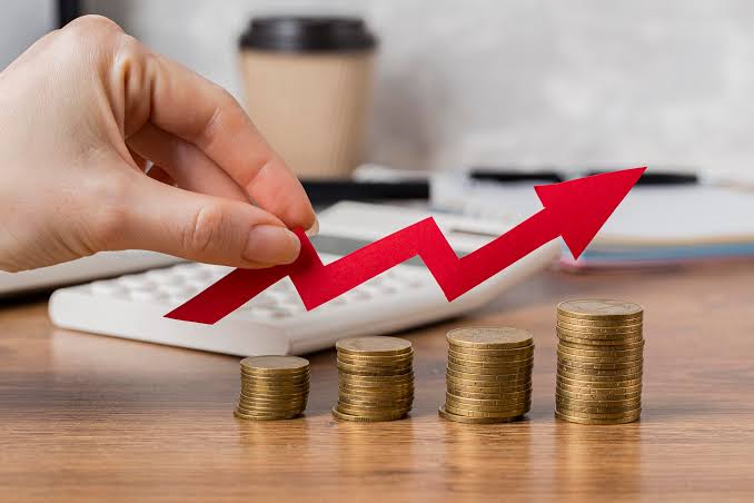 Net Profit Margin
